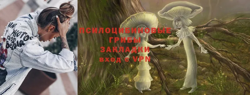 сайты даркнета наркотические препараты  Комсомольск-на-Амуре  Псилоцибиновые грибы ЛСД  цена  